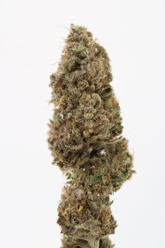 Critical - 10% CBD (Fleurs Premium Indoor)