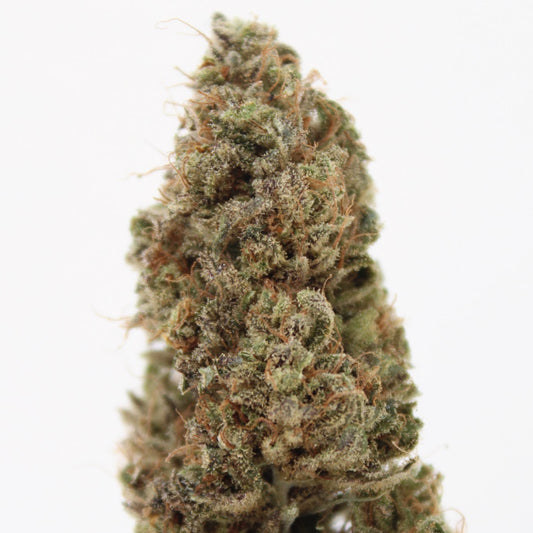 Critical - 10% CBD (Fleurs Premium Indoor)