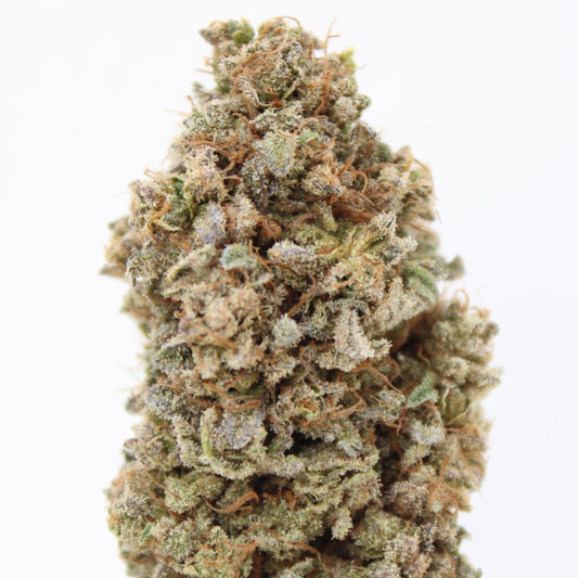 Lemon Cookie - 11% CBD (Fleurs Premium Indoor)