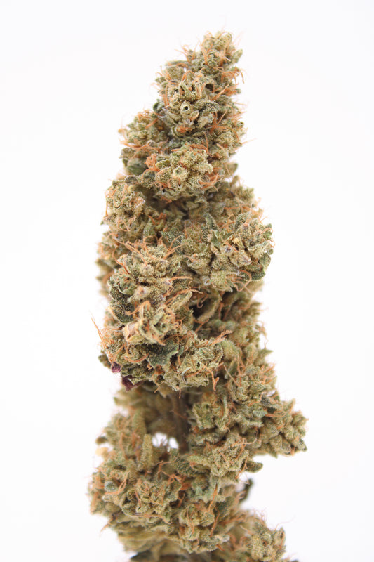 Mango x Sour Lemonhead OG - 10% CBD (Fleurs Premium Indoor)