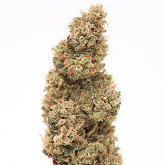 Mango x Sour Lemonhead OG - 10% CBD (Fleurs Premium Indoor)