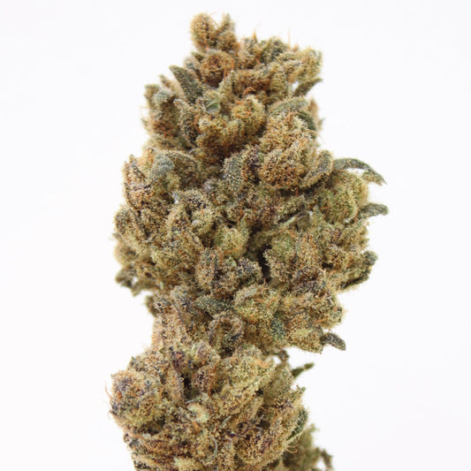 Northern Light Blue - 10% CBD (Fleurs Premium Indoor)