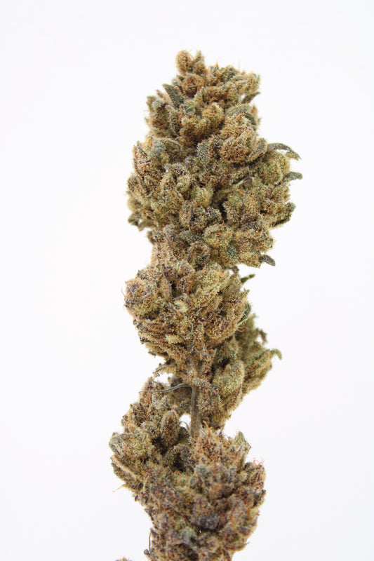 Northern Light Blue - 10% CBD (Fleurs Premium Indoor)