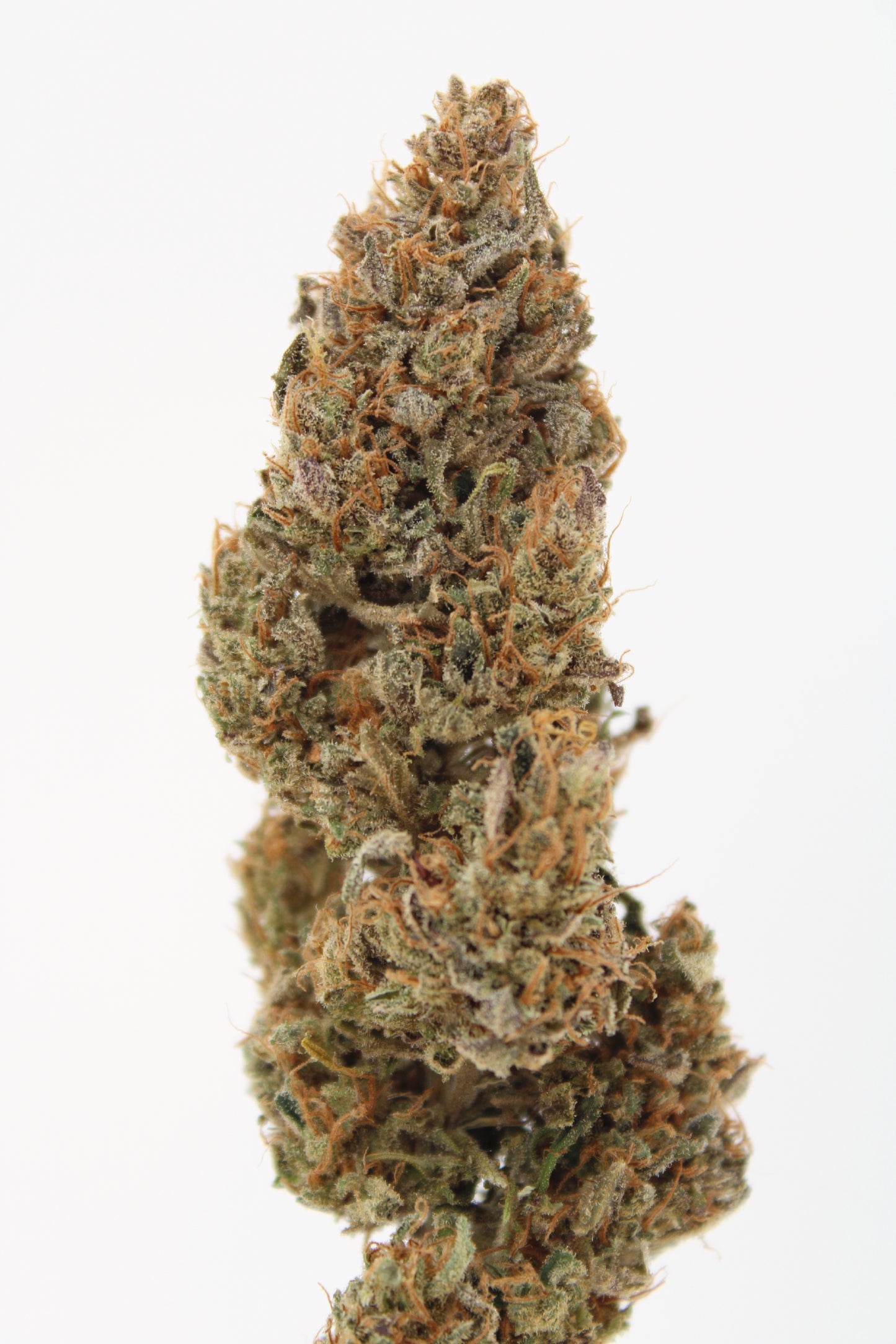 Skunk Dream - 10% CBD (Fleurs Premium Indoor)