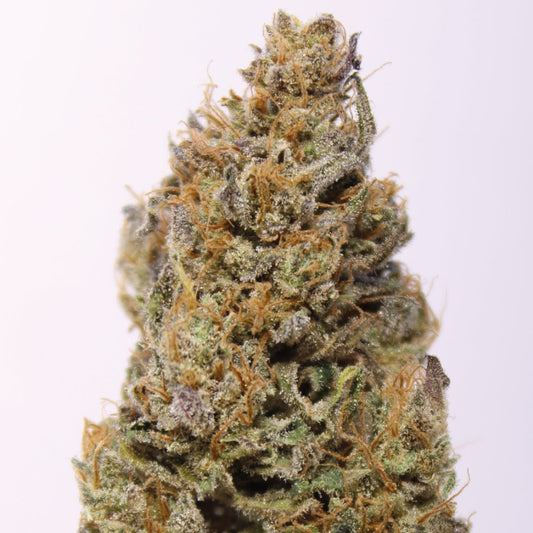 Skunk Dream - 10% CBD (Fleurs Premium Indoor)