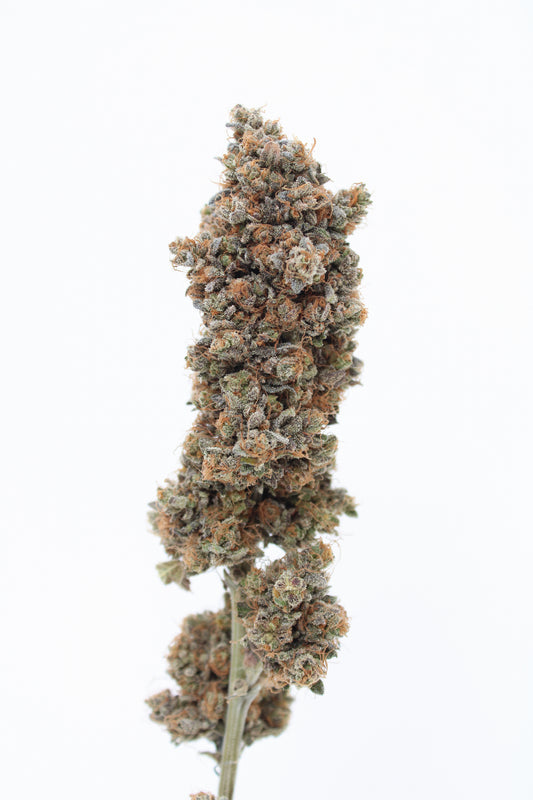 Bubble Kush- 11% CBD (Fleurs Premium Indoor)