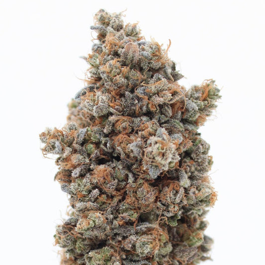 Bubble Kush- 11% CBD (Fleurs Premium Indoor)