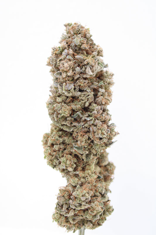 Lemon Cookie - 11% CBD (Fleurs Premium Indoor)