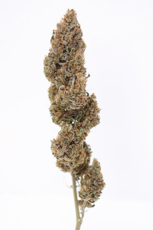 Skunk Dream - 10% CBD (Fleurs Premium Indoor)
